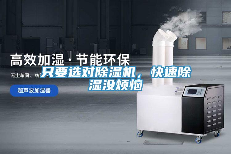 只要選對除濕機,快速除濕沒煩惱