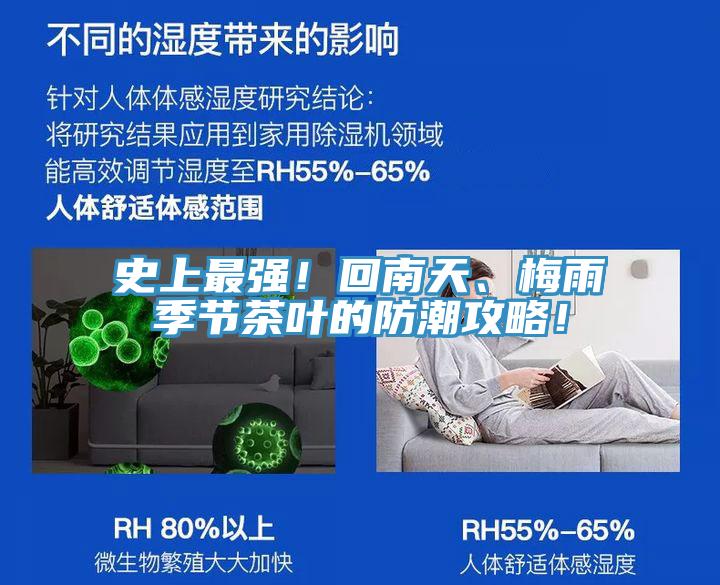 史上最強(qiáng)！回南天、梅雨季節(jié)茶葉的防潮攻略！