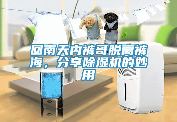 回南天內褲哥脫離褲海，分享除濕機的妙用