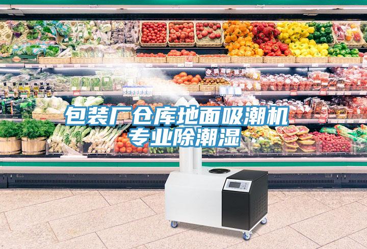 包裝廠倉庫地面吸潮機 專業除潮濕