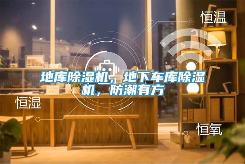 地庫除濕機，地下車庫除濕機，防潮有方