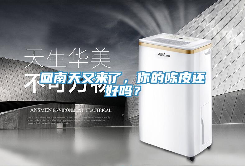 回南天又來了，你的陳皮還好嗎？