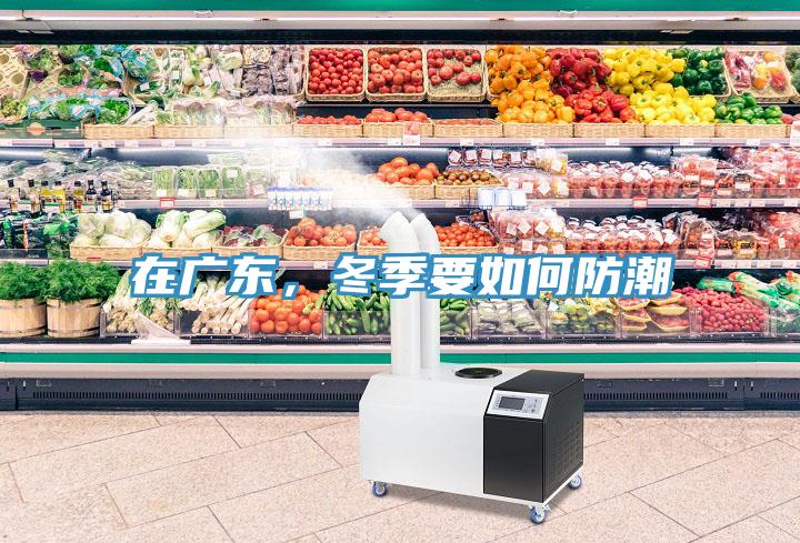 在廣東，冬季要如何防潮