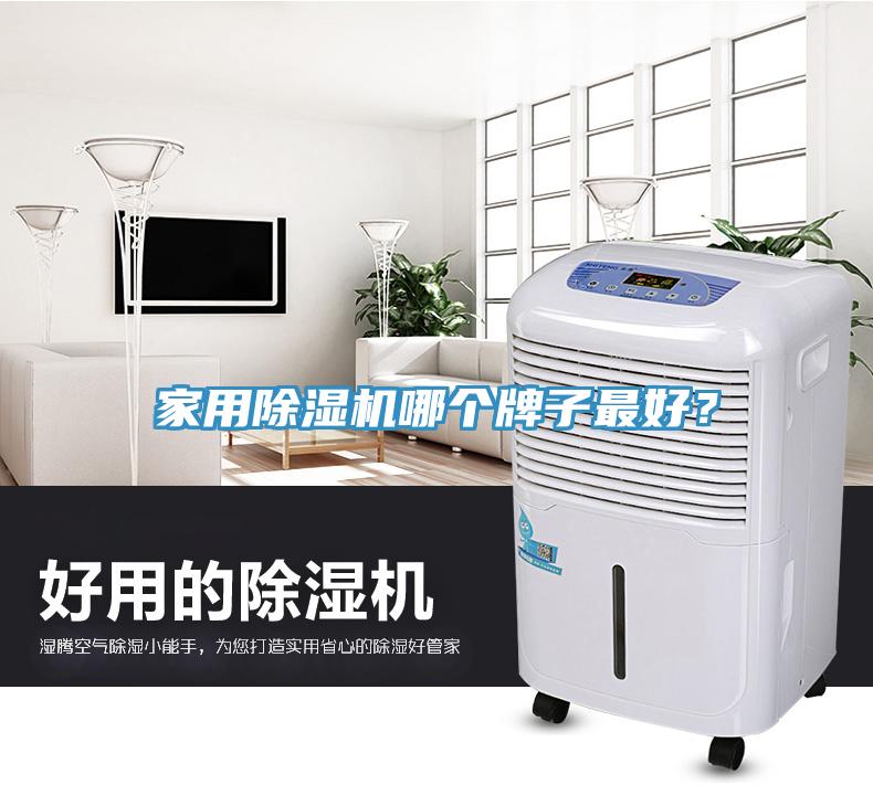 家用除濕機(jī)哪個(gè)牌子最好?