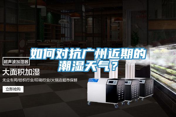 如何對抗廣州近期的潮濕天氣？