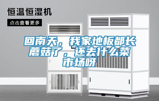 回南天，我家地板都長蘑菇了，還去什么菜市場呀