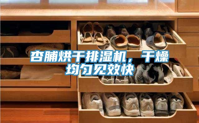 杏脯烘干排濕機，干燥均勻見效快
