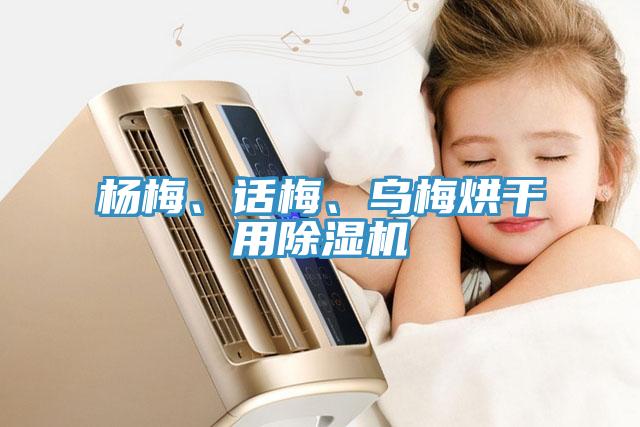 楊梅、話梅、烏梅烘干用除濕機