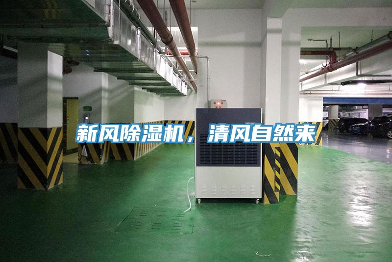 新風除濕機,清風自然來