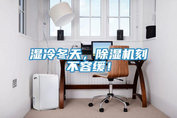 濕冷冬天，除濕機刻不容緩！