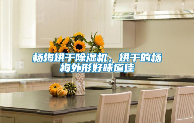 楊梅烘干除濕機(jī)，烘干的楊梅外形好味道佳