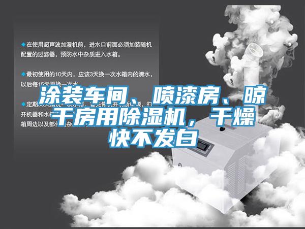 涂裝車間、噴漆房、晾干房用除濕機(jī)，干燥快不發(fā)白
