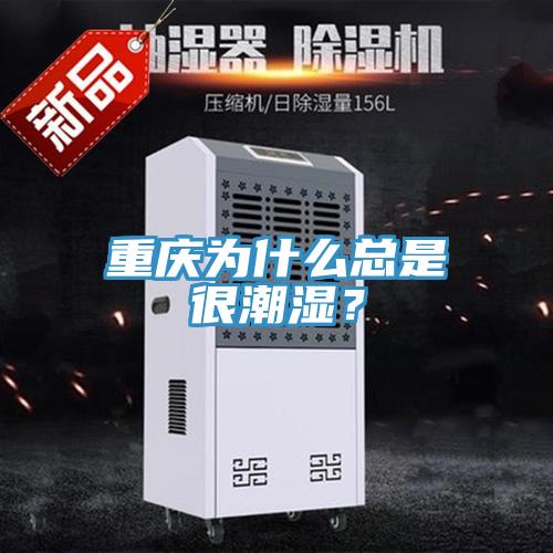 重慶為什么總是很潮濕?