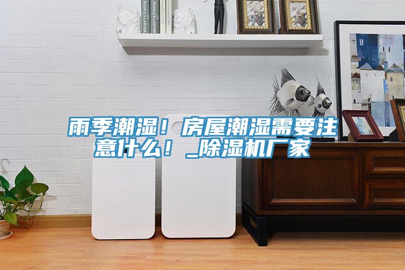 雨季潮濕!房屋潮濕需要注意什么!_除濕機廠家