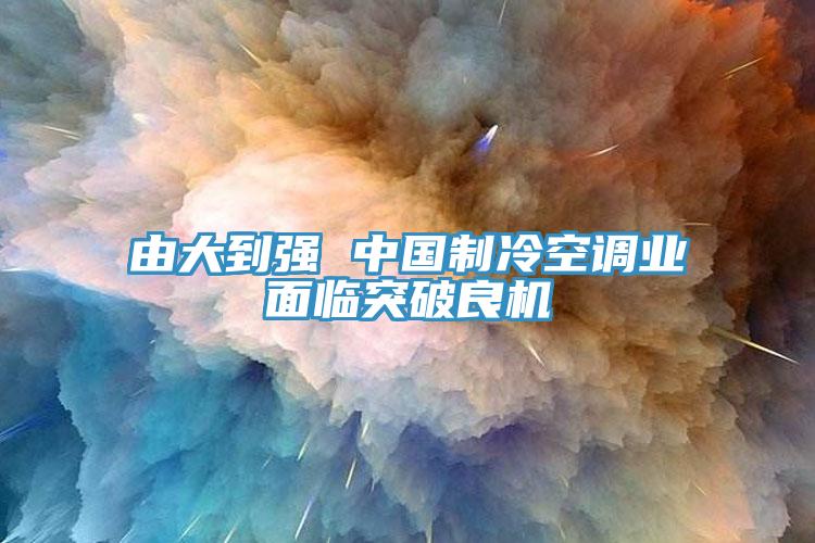由大到強 中國制冷空調業面臨突破良機