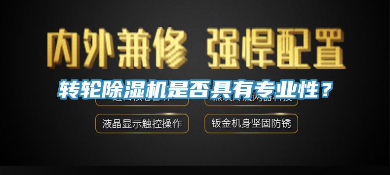 轉(zhuǎn)輪除濕機是否具有專業(yè)性？