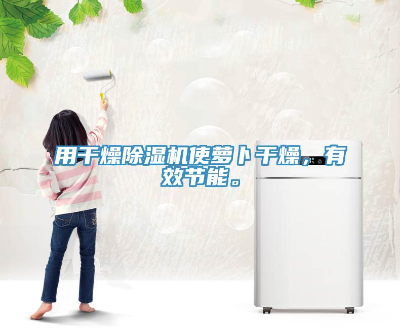 用干燥除濕機(jī)使蘿卜干燥，有效節(jié)能。
