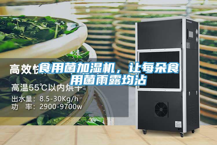 食用菌加濕機(jī)，讓每朵食用菌雨露均沾