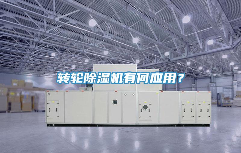 轉(zhuǎn)輪除濕機有何應(yīng)用？