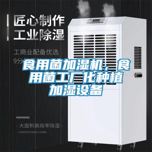 食用菌加濕機(jī)，食用菌工廠化種植加濕設(shè)備