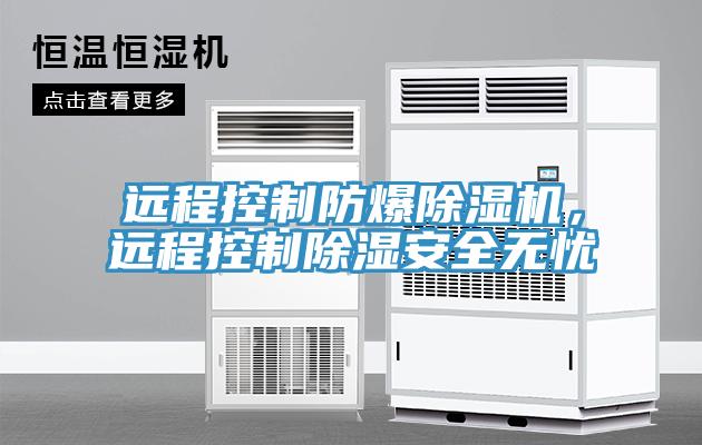 遠(yuǎn)程控制防爆除濕機(jī),遠(yuǎn)程控制除濕安全無憂
