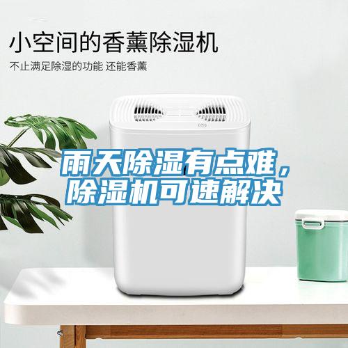 雨天除濕有點難,除濕機可速解決