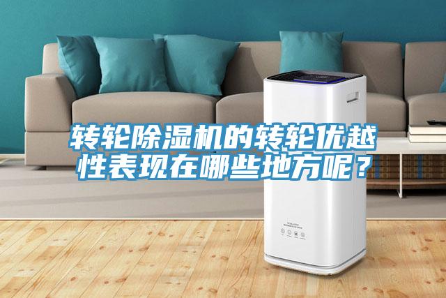 轉輪除濕機的轉輪優(yōu)越性表現(xiàn)在哪些地方呢？