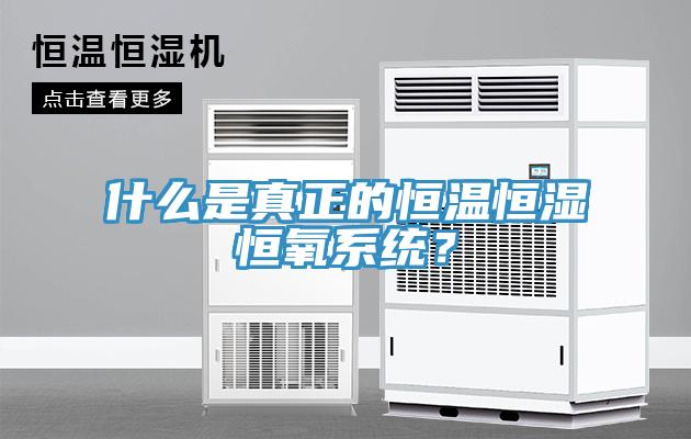 什么是真正的恒溫恒濕恒氧系統?