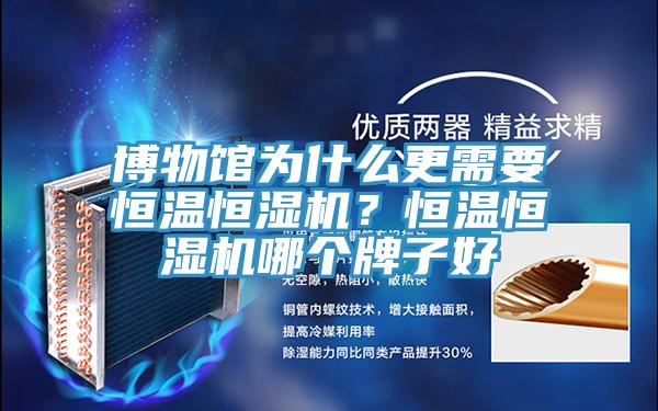 博物館為什么更需要恒溫恒濕機(jī)？恒溫恒濕機(jī)哪個(gè)牌子好