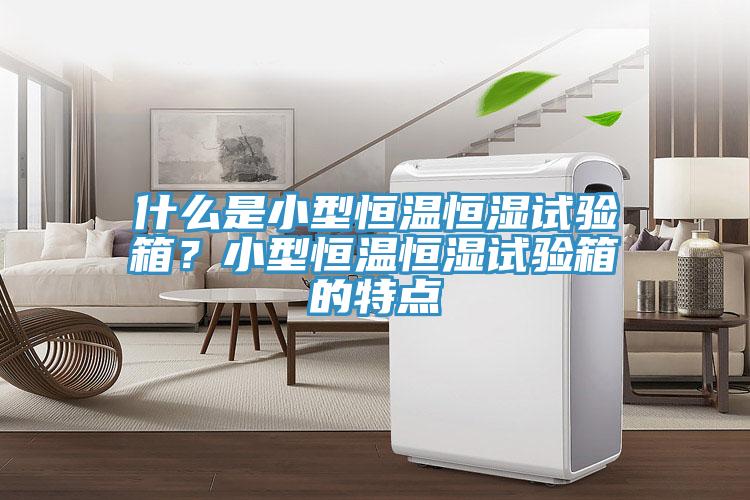 什么是小型恒溫恒濕試驗箱？小型恒溫恒濕試驗箱的特點