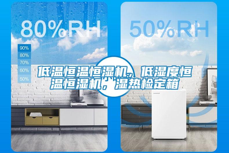 低溫恒溫恒濕機，低濕度恒溫恒濕機，濕熱檢定箱