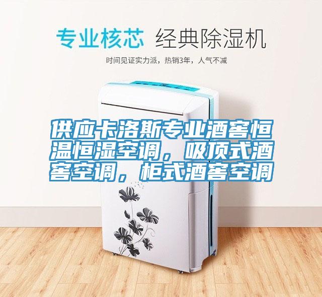 供應卡洛斯專業酒窖恒溫恒濕空調,吸頂式酒窖空調,柜式酒窖空調