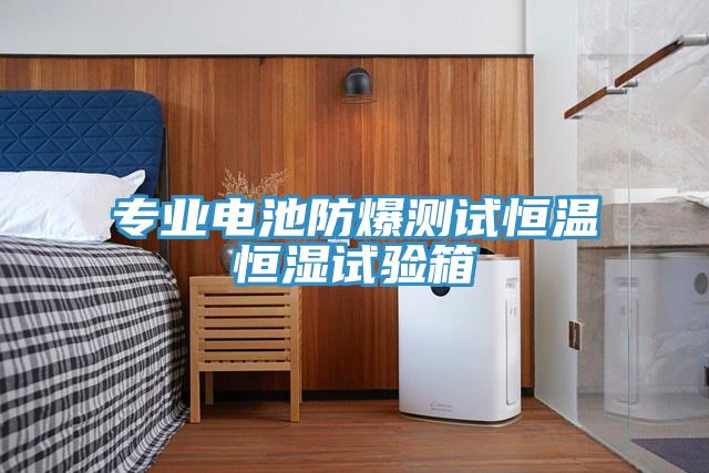 專業電池防爆測試恒溫恒濕試驗箱