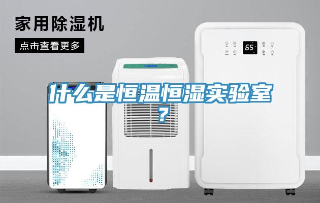 什么是恒溫恒濕實驗室？