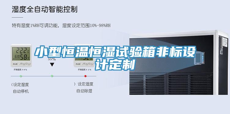 小型恒溫恒濕試驗箱非標設計定制