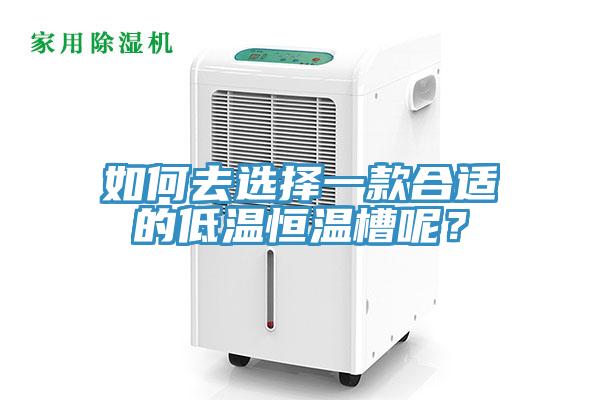 如何去選擇一款合適的低溫恒溫槽呢?
