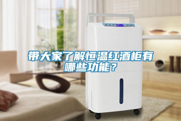 帶大家了解恒溫紅酒柜有哪些功能?