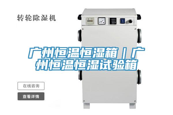 廣州恒溫恒濕箱|廣州恒溫恒濕試驗箱