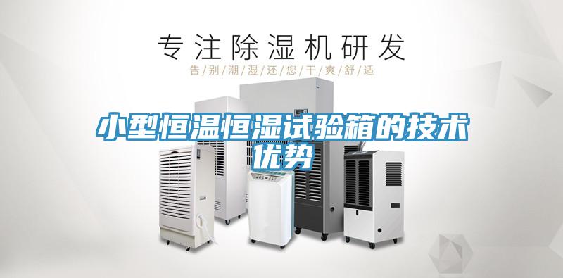 小型恒溫恒濕試驗(yàn)箱的技術(shù)優(yōu)勢
