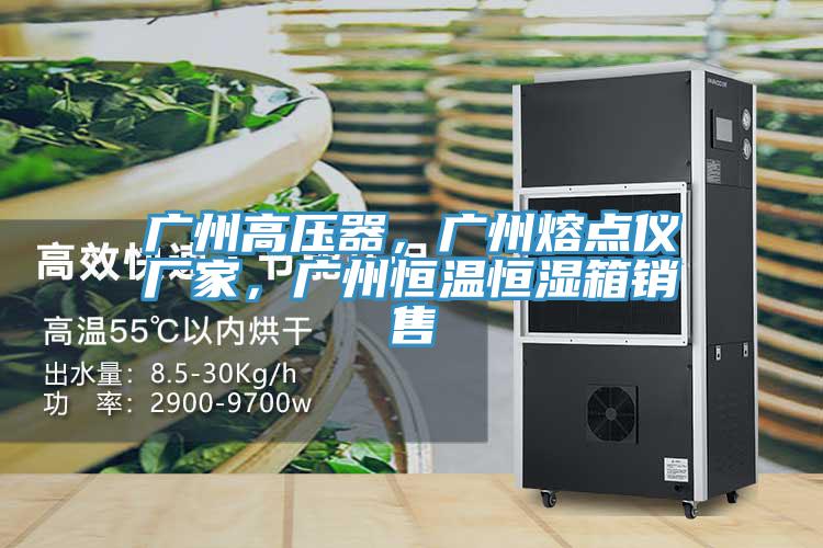 廣州高壓器，廣州熔點儀廠家，廣州恒溫恒濕箱銷售