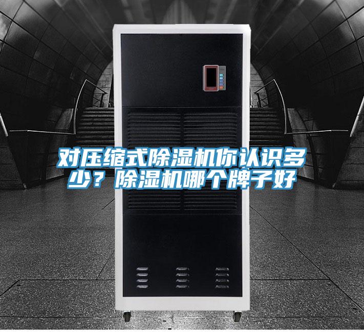 對壓縮式除濕機你認識多少?除濕機哪個牌子好