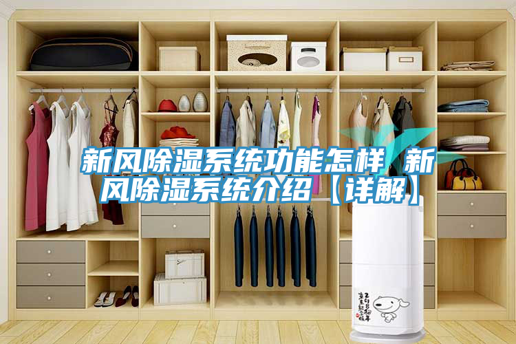 新風除濕系統功能怎樣 新風除濕系統介紹【詳解】