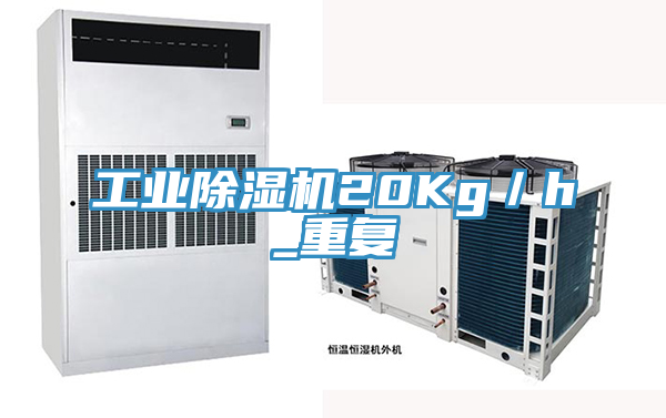 工業(yè)除濕機20Kg/h_重復(fù)