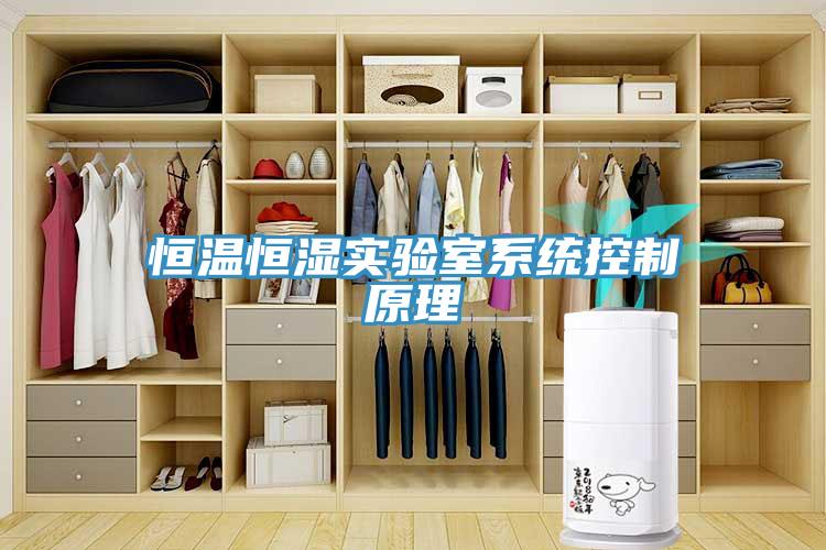 恒溫恒濕實驗室系統控制原理