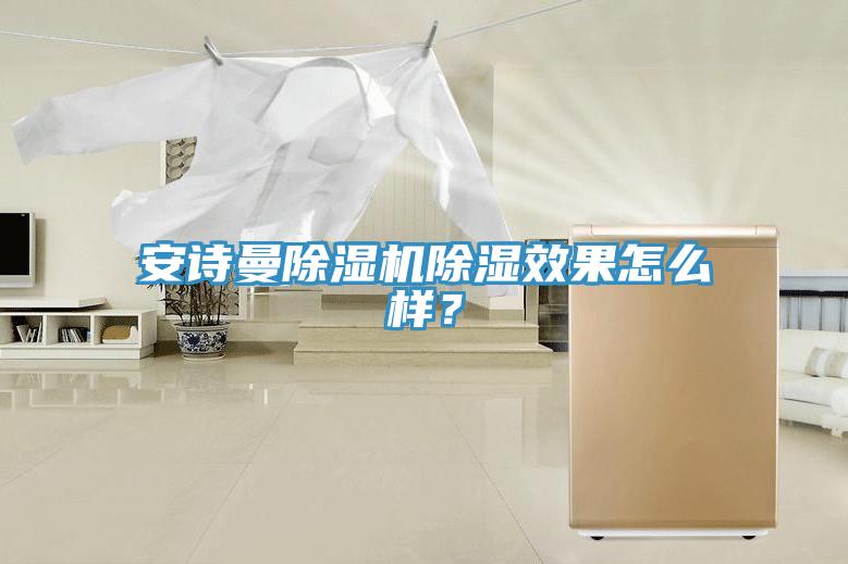 安詩(shī)曼除濕機(jī)除濕效果怎么樣?