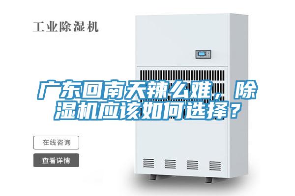 廣東回南天辣么難,除濕機應該如何選擇?