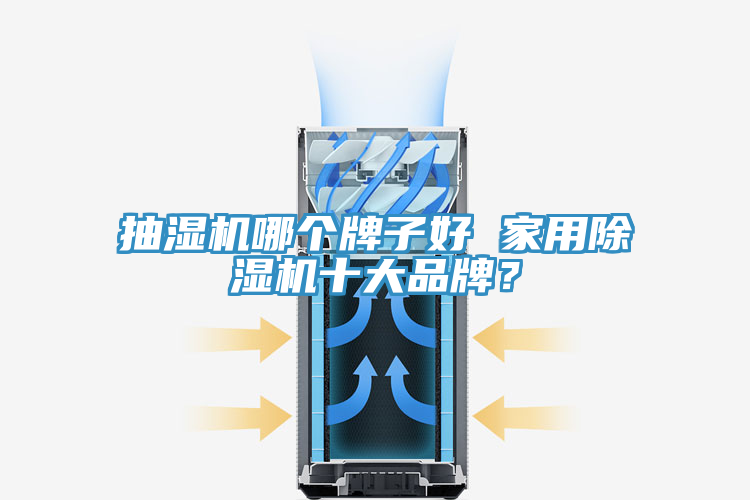 抽濕機(jī)哪個(gè)牌子好 家用除濕機(jī)十大品牌?