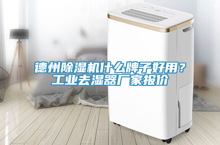 德州除濕機什么牌子好用？工業去濕器廠家報價