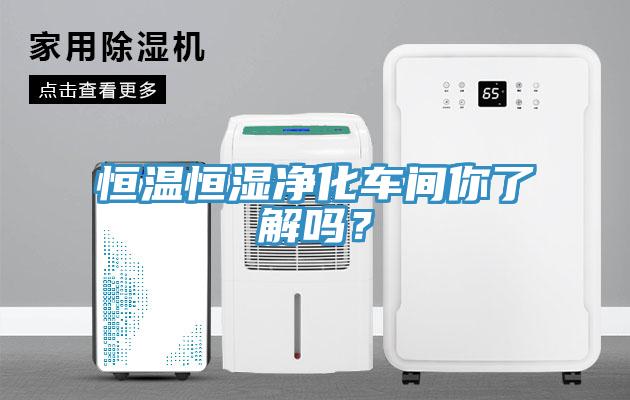 恒溫恒濕凈化車間你了解嗎?