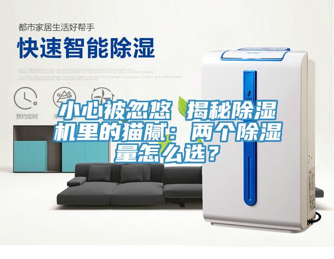 小心被忽悠 揭秘除濕機里的貓膩:兩個除濕量怎么選?